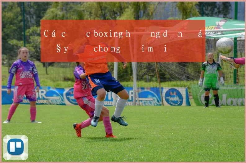 Cá cược boxing hướng dẫn đầy đủ cho người mới