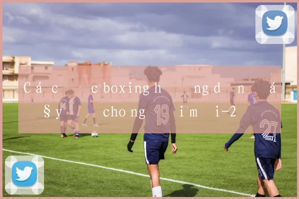 Cá cược boxing hướng dẫn đầy đủ cho người mới