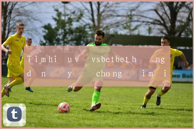 Tìm hiểu về vsbetbet hướng dẫn đầy đủ cho người mới