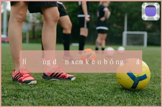 Hướng dẫn xem kèo bóng đá